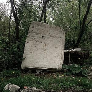 please, say something (feat. Wer$e) (Explicit)