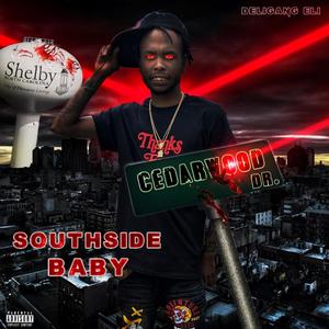 SouthSide Baby (Explicit)