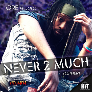 Never 2 Much (Luther) (feat. Dolo & Fiyastarta) [Explicit]