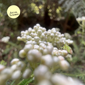 Balance and Complexity