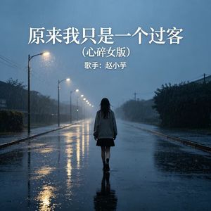 原来我只是一个过客 (心碎女版)