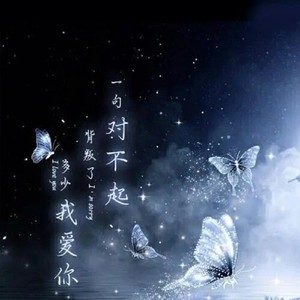 对不起 送给我和你