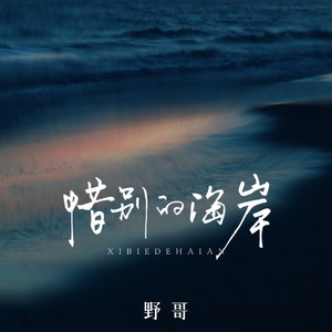 野哥 - 惜别的海岸 (合唱版)
