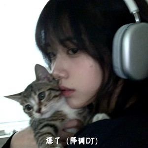 爆了 (降调DJ)封面