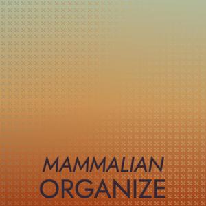 Mammalian Organize