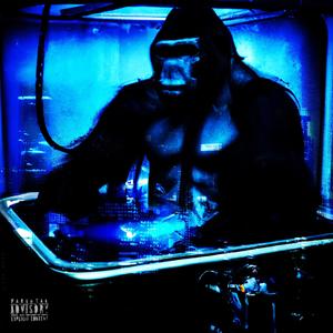 KONG (Explicit)