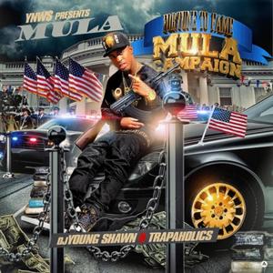 Mula Campaign (Explicit)