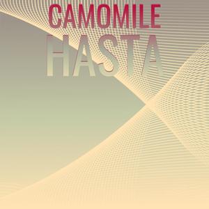 Camomile Hasta