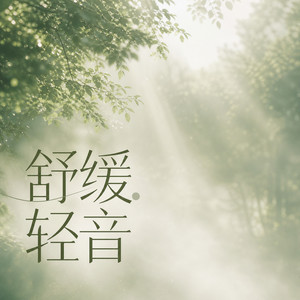 湖光山色 (DJ长音频)封面
