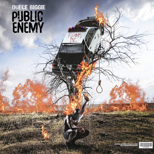 Public Enemy (Explicit)