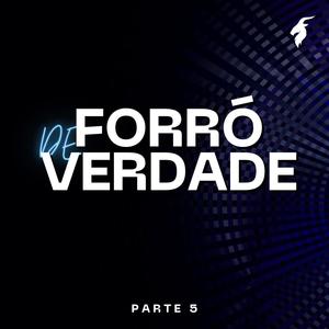 Forró de Verdade Parte 5 (Solo de Sucessos)