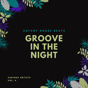 Groove In The Night (Catchy House Beats) , Vol. 4