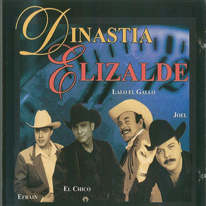 Dinastia Elizalde 2