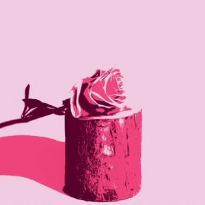 Pétales (feat. Stan.Doe) (Explicit)