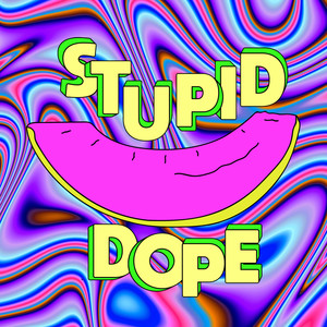 Stupid Dope (Explicit)