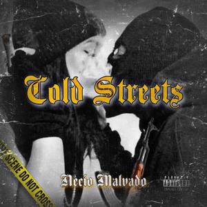 Cold Streets (Explicit)