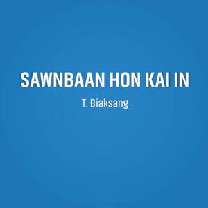 Sawnbaan hon kai in