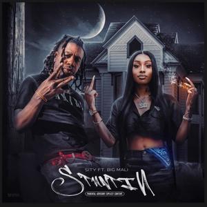 Stuntin (feat. Big Mali) (Explicit)
