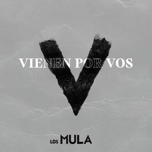 Vienen por vos