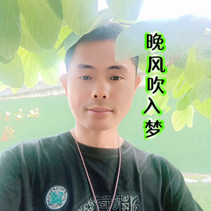 晚风吹入梦