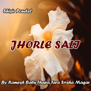 Jhorle Sali