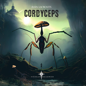 Cordyceps