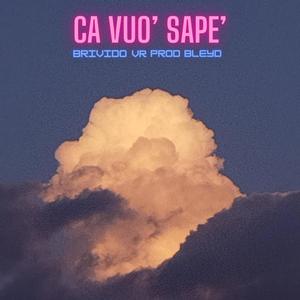 Ca vuo' sape' (feat. VR)