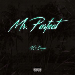 Mr. Perfect (Explicit)