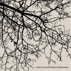 Suite: L’arrivée à la perte