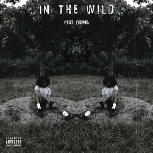 In The Wild (feat. Ohema)