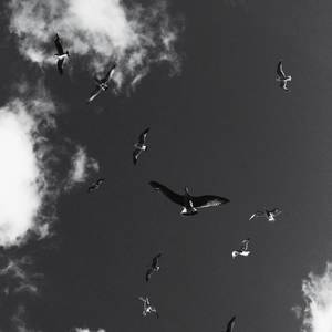 Better Me (Explicit)