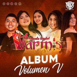 ALBUM Vol. V