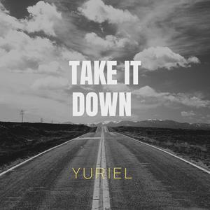 Take it down (Explicit)