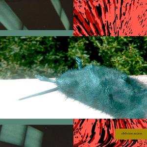 Collapse and Appear (Explicit)