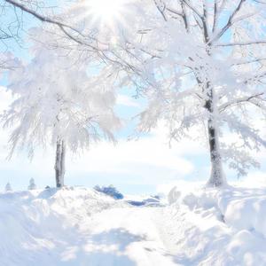 baine!'s intro (Explicit)