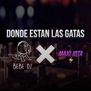 Donde Estan Las Gata