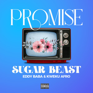 Promise (Explicit)