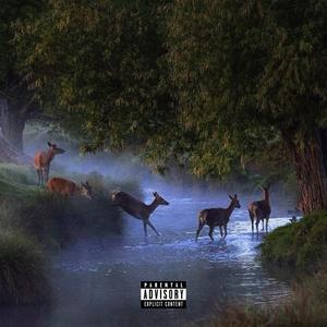 might be my last song (Explicit)