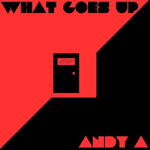 What Goes Up