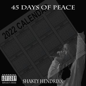 45 Days Of Peace (Explicit)