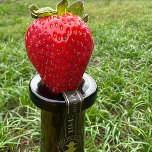 Sunniva - WHATEVER I WANT =)