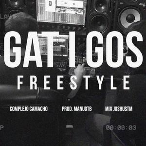 Gat i Gos Freestyle (Explicit)