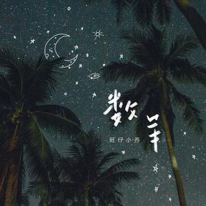 数羊-旺仔小乔