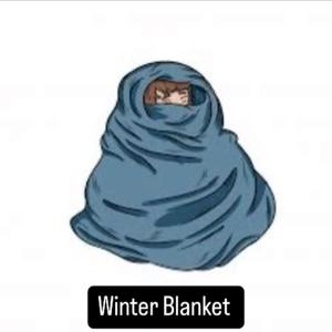 Winter Blanket