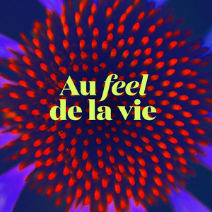 Au feel de la vie