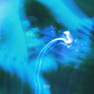 STEPBACK (feat. Canine & Etizee) (Explicit)