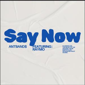 Say Now (feat. RayMo) (Explicit)