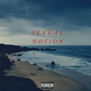 Sexual Notion (Explicit)