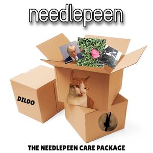 The Needlepeen Care Package (Explicit)