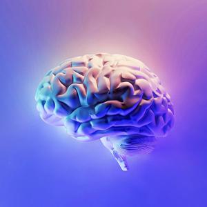 Caymans (feat. LLOKE)